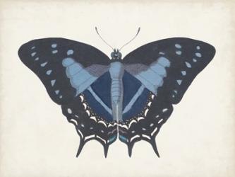 Beautiful Butterfly III | Obraz na stenu