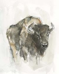 American Buffalo I | Obraz na stenu