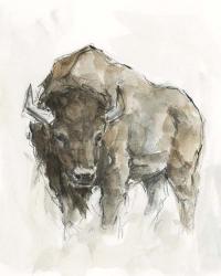 American Buffalo II | Obraz na stenu