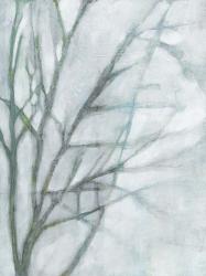 Tree with White Sky II | Obraz na stenu