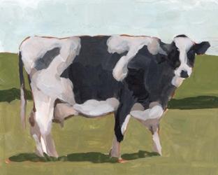 Cow Portrait I | Obraz na stenu