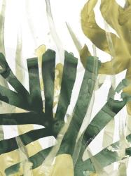 Palm Impression I | Obraz na stenu