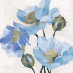 Azure Peony II | Obraz na stenu