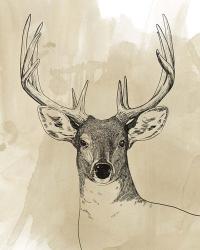 Burnished Buck II | Obraz na stenu