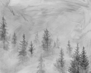 Foggy Foothills I | Obraz na stenu