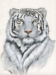White Tiger I | Obraz na stenu