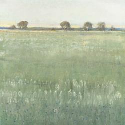 Green Meadow I | Obraz na stenu