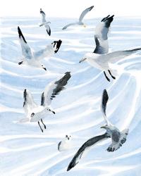 Seagull Soiree II | Obraz na stenu