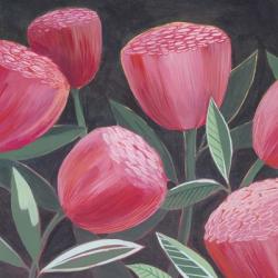 Blush Blossoms I | Obraz na stenu