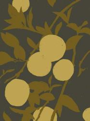 Golden Satsuma I | Obraz na stenu