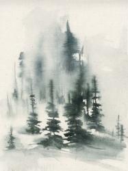 Misty Winter I | Obraz na stenu