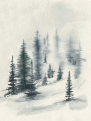 Misty Winter II | Obraz na stenu