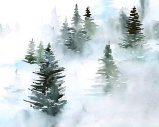 Foggy Evergreens I | Obraz na stenu