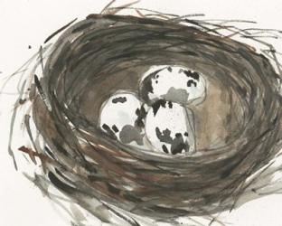 Nesting Eggs I | Obraz na stenu