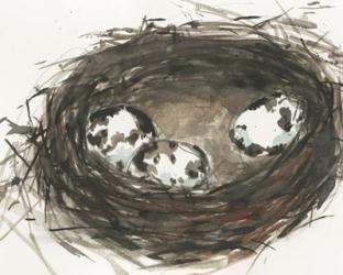 Nesting Eggs II | Obraz na stenu
