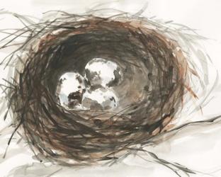 Nesting Eggs III | Obraz na stenu