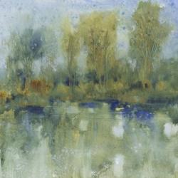 Pond Reflection I | Obraz na stenu