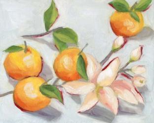 Tangerine Blossoms I | Obraz na stenu