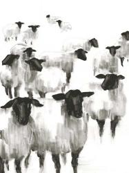 Counting Sheep II | Obraz na stenu