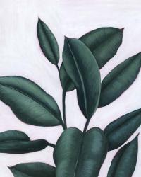 Verdant Ficus I | Obraz na stenu