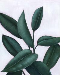 Verdant Ficus II | Obraz na stenu