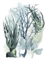 Sea Leaves IV | Obraz na stenu
