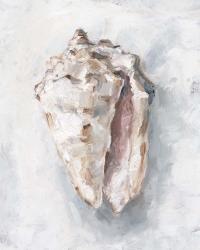 White Shell Study II | Obraz na stenu