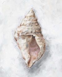 White Shell Study III | Obraz na stenu