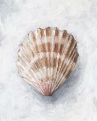 White Shell Study IV | Obraz na stenu