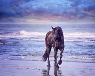 Running in the Sand I | Obraz na stenu