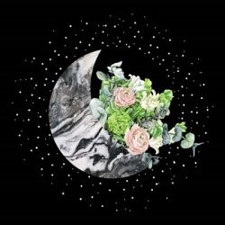 Luna I | Obraz na stenu