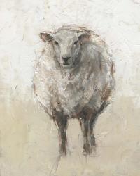 Fluffy Sheep I | Obraz na stenu