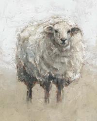 Fluffy Sheep II | Obraz na stenu