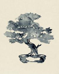 Indigo Bonsai III | Obraz na stenu