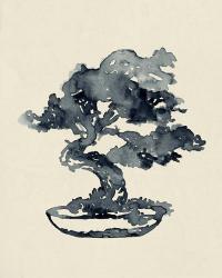 Indigo Bonsai IV | Obraz na stenu