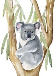 Woodland Koala I | Obraz na stenu