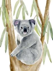 Woodland Koala II | Obraz na stenu