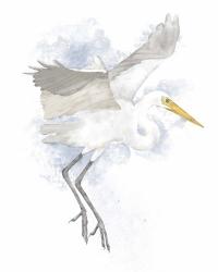 Coastal Heron II | Obraz na stenu