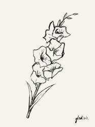 Gladiola Sketch II | Obraz na stenu