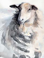Watercolor Sheep II | Obraz na stenu
