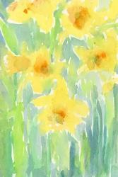 Daffodils I | Obraz na stenu