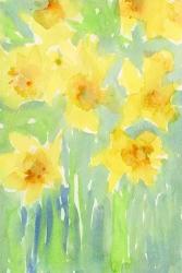 Daffodils II | Obraz na stenu