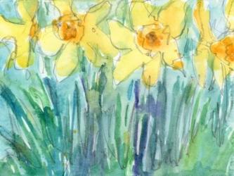 Daffodil Blooms I | Obraz na stenu