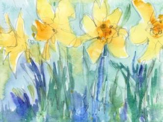 Daffodil Blooms II | Obraz na stenu