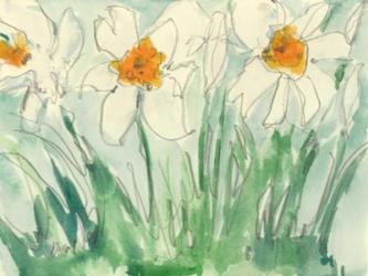 Daffodils Orange and White I | Obraz na stenu