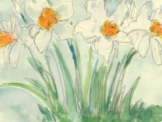Daffodils Orange and White II | Obraz na stenu