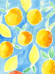 Summer Citrus I | Obraz na stenu