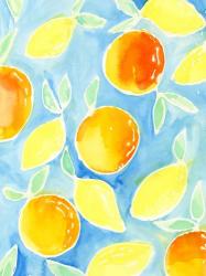 Summer Citrus II | Obraz na stenu