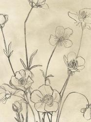 Vintage Wildflowers I | Obraz na stenu