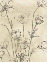 Vintage Wildflowers II | Obraz na stenu